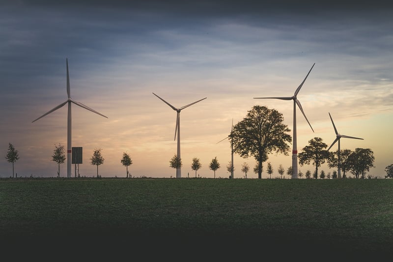 Environmental Consulting